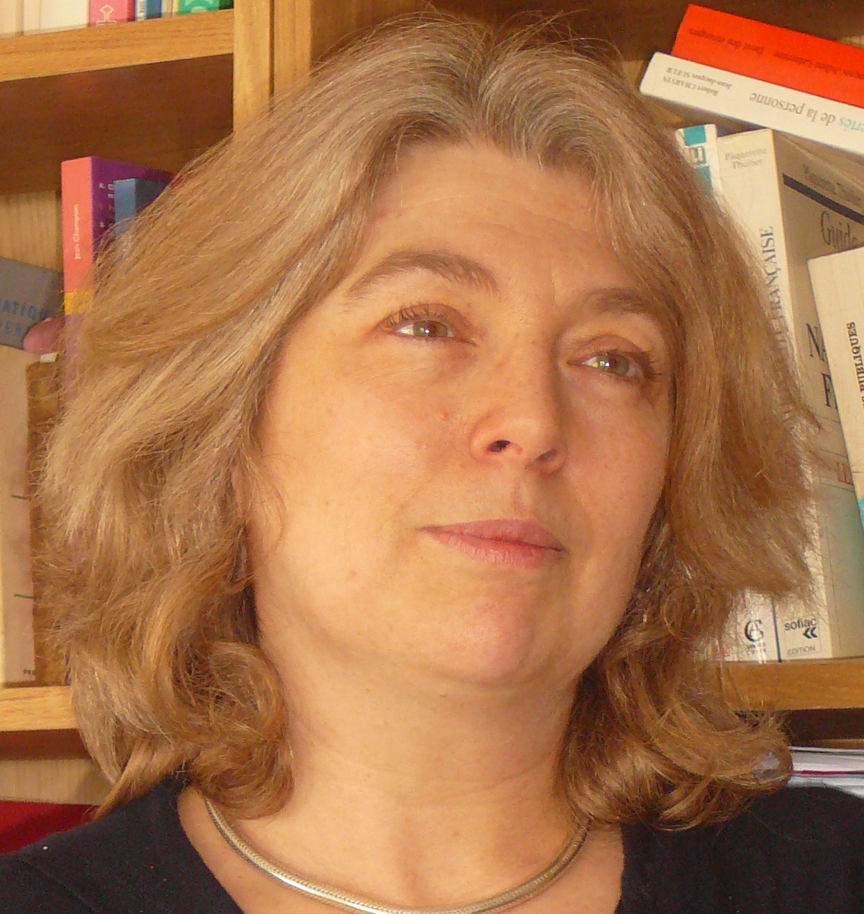 Sophie Binet Salaire Sophie Binet - SavasSenater